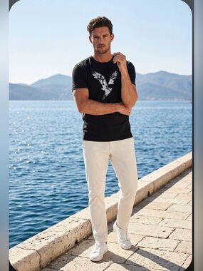 American Eagle Outfitters Black Graphic T-Shirt for Men